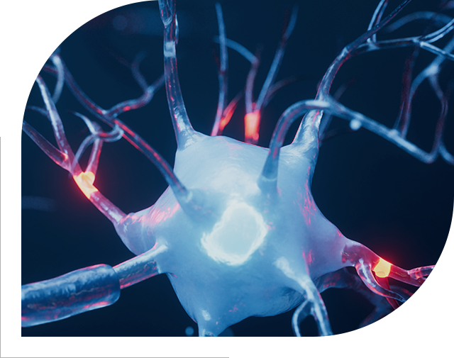 뇌혈관 사진 모바일버전